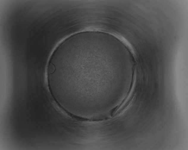 X0000101100896200806261510