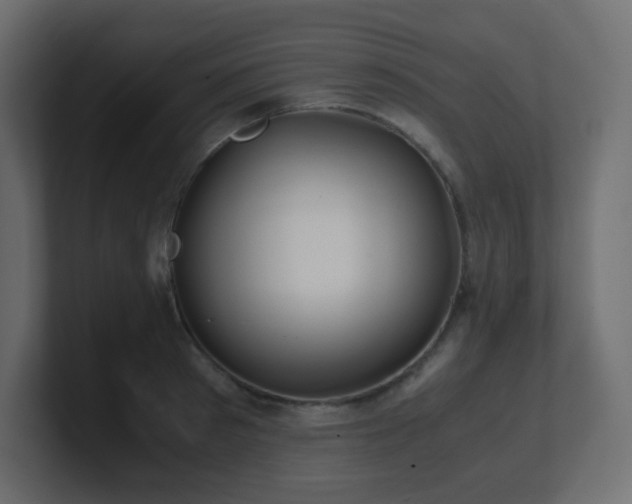 X0000101100897200806261510