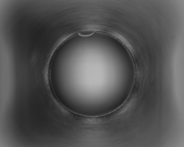 X0000101100901200806261510