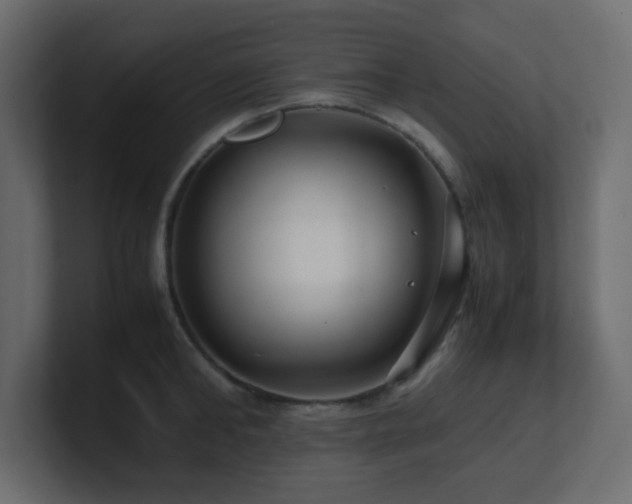 X0000101100902200806261509