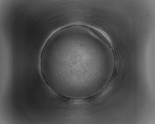X0000101100903200806261509
