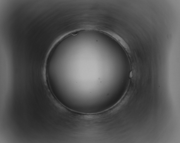 X0000101100904200806261509