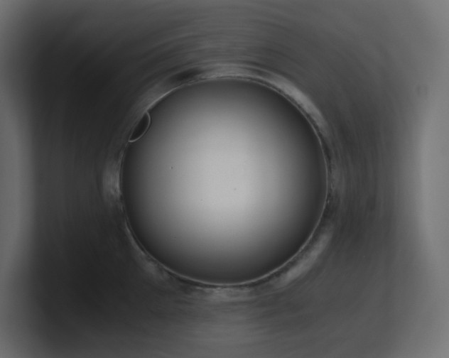 X0000101100905200806261509
