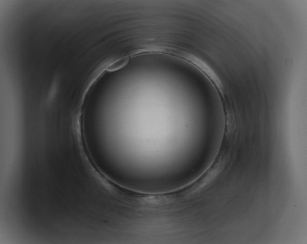 X0000101100906200806261509