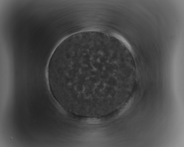 X0000101100907200806261509