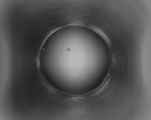 X0000101100908200806261509