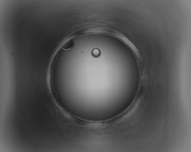 X0000101100909200806261509
