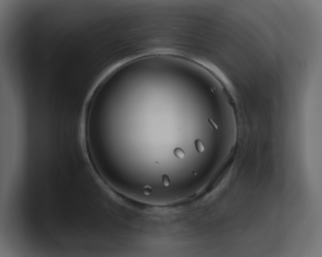 X0000101100910200806261509