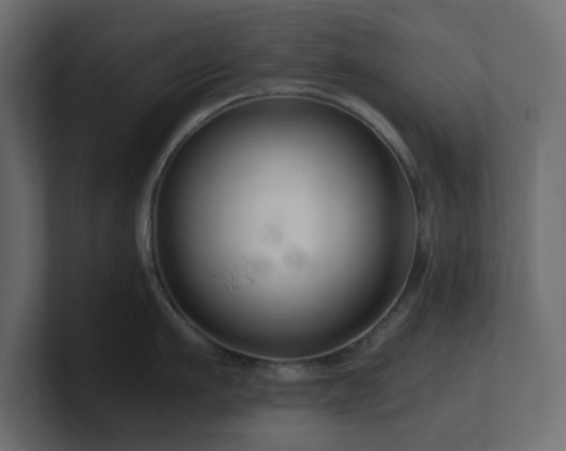 X0000101100911200806261509