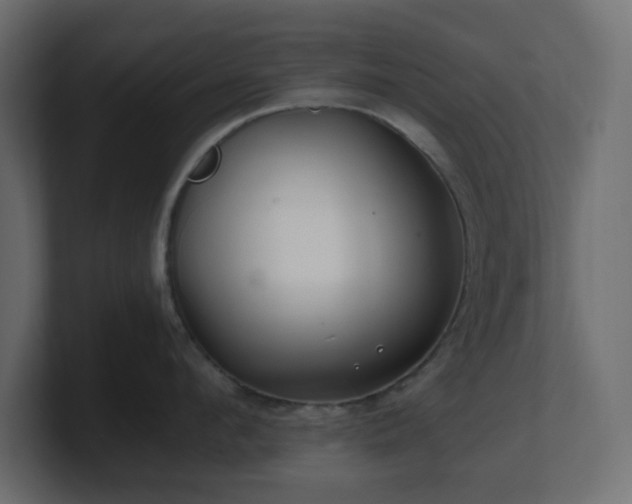 X0000101100912200806261509