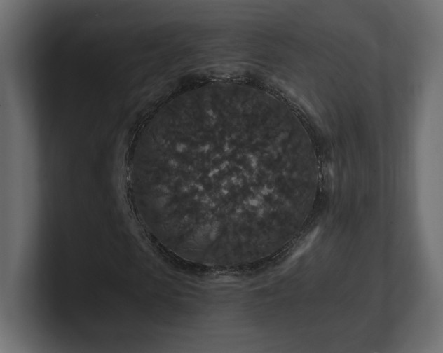 X0000101100913200806261509