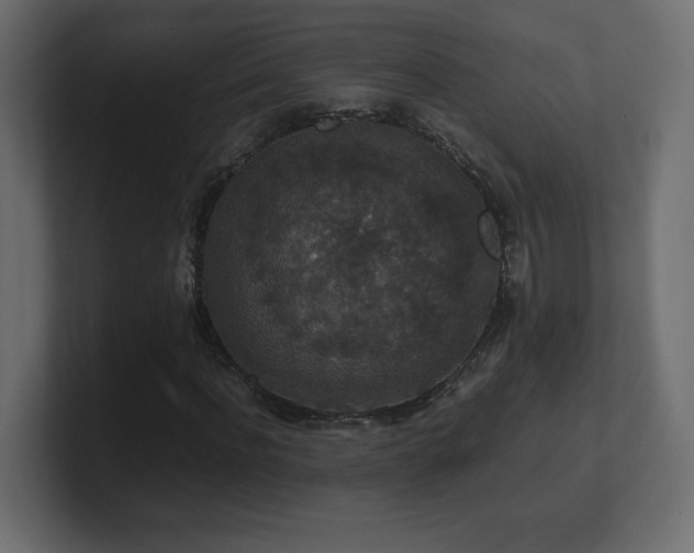 X0000101100916200806261509