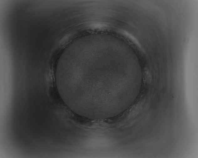 X0000101100918200806261509