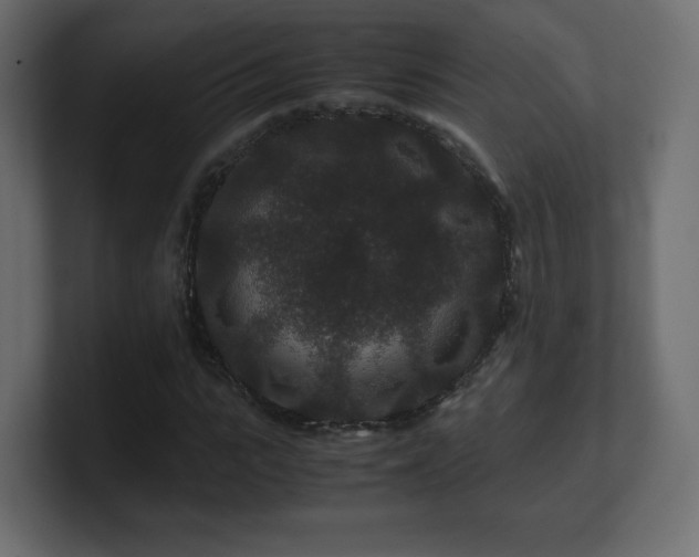 X0000101100919200806261509