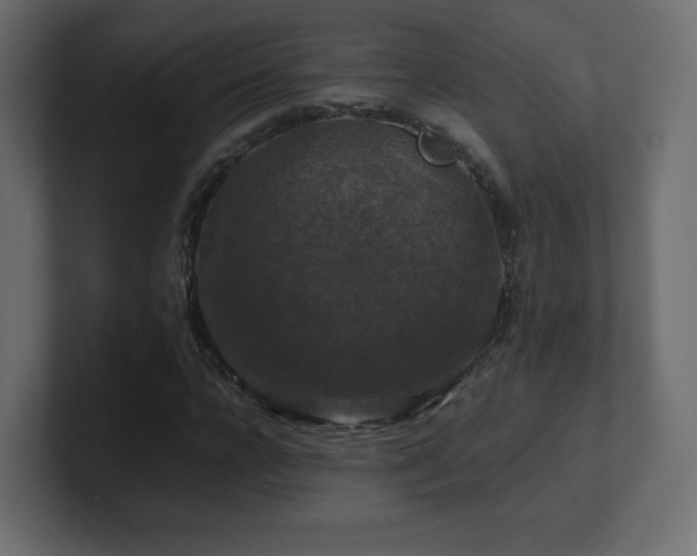 X0000101100920200806261509