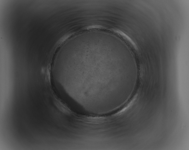 X0000101100921200806261509
