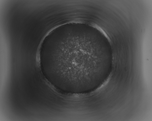 X0000101100923200806261509