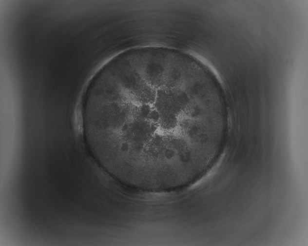 X0000101100925200806261509