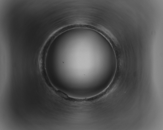X0000101100926200806261509