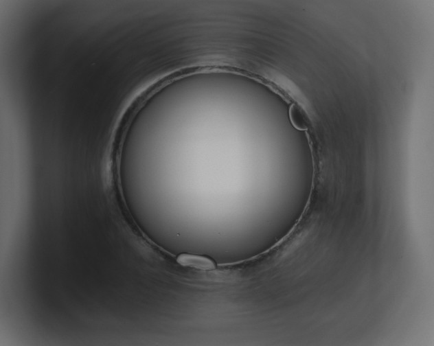 X0000101100928200806261509