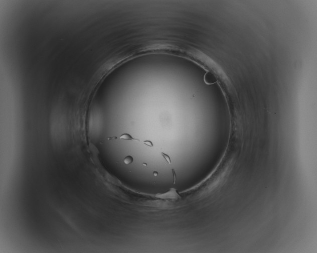 X0000101100937200806261509
