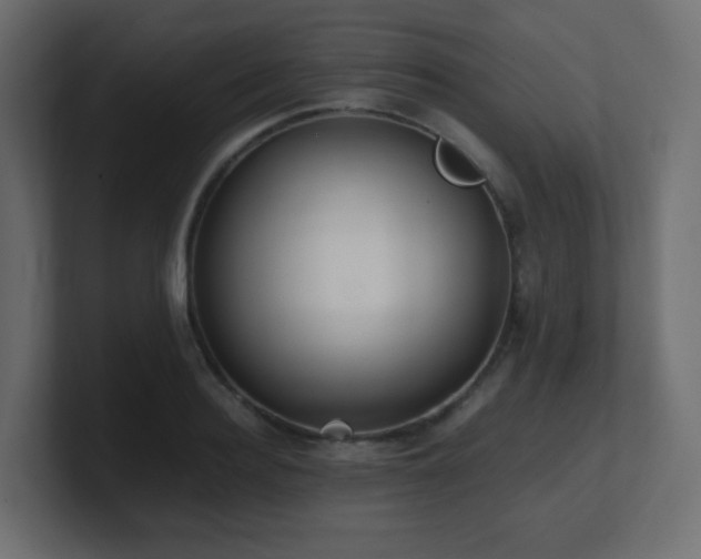 X0000101100940200806261509
