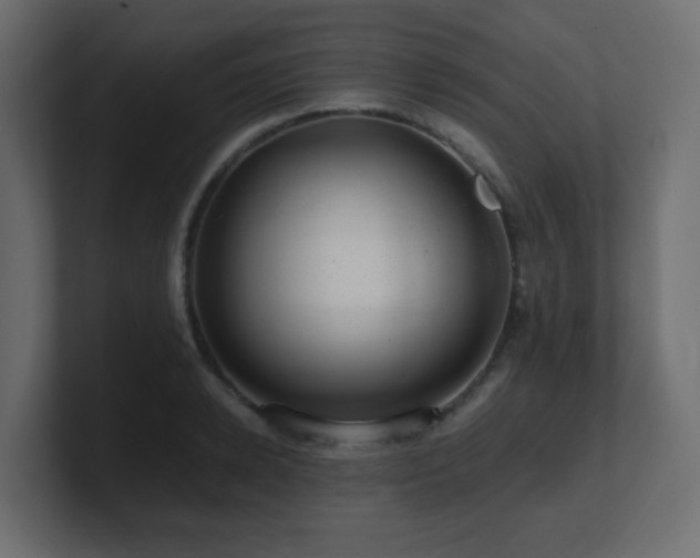 X0000101100942200806261509