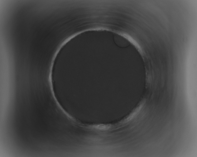 X0000101100943200806261509