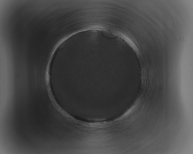 X0000101100944200806261509