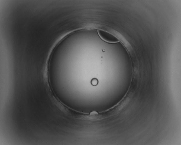 X0000101100948200806261509