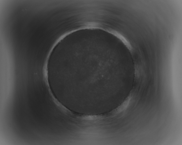 X0000101100950200806261509