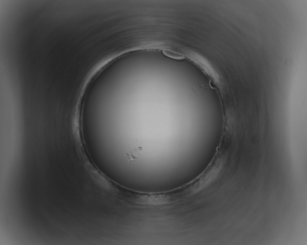 X0000101100952200806261509