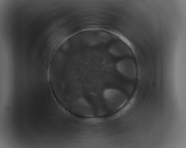 X0000101100953200806261509