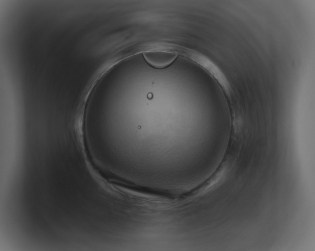 X0000101100954200806261509