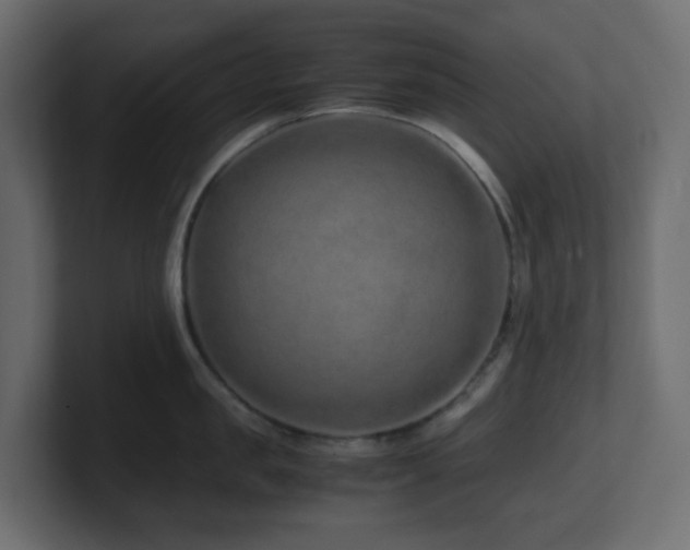 X0000101100957200806261509