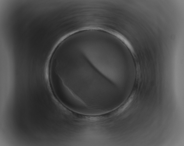 X0000101100958200806261509