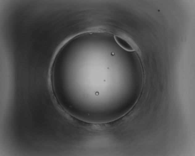 X0000101100960200806261509