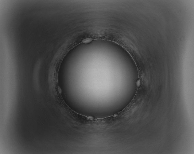 X0000101100961200806261509