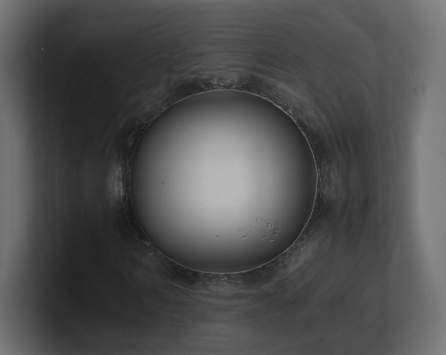 X0000101100962200806261509