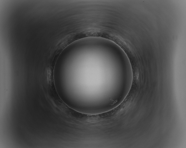 X0000101100964200806261509