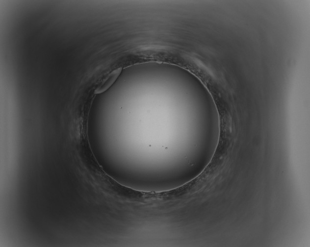 X0000101100965200806261509