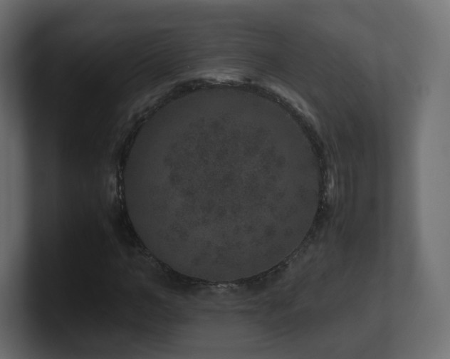 X0000101100966200806261509