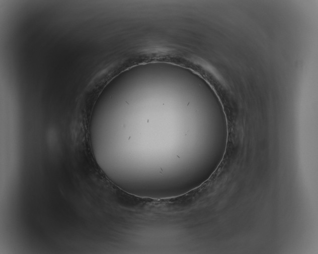 X0000101100967200806261509