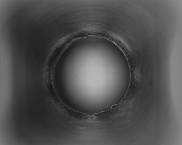 X0000101100968200806261509