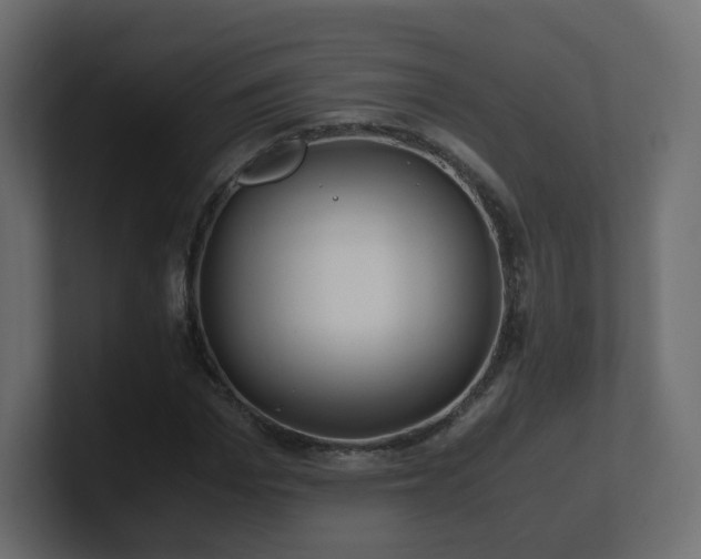 X0000101100969200806261509