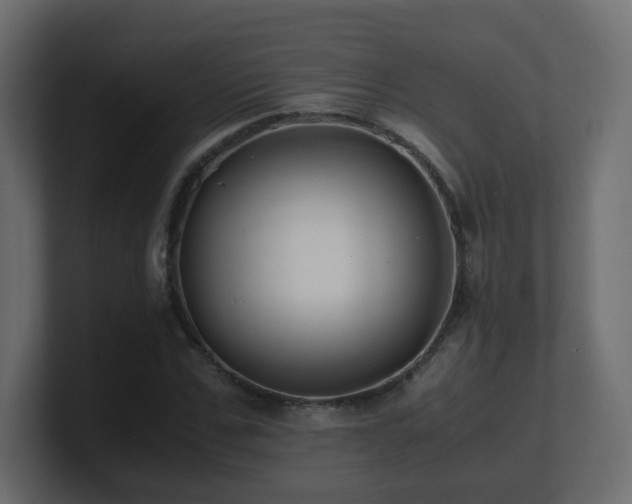 X0000101100971200806261509