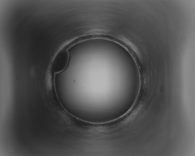 X0000101100973200806261509