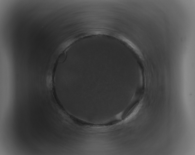 X0000101100977200806261508