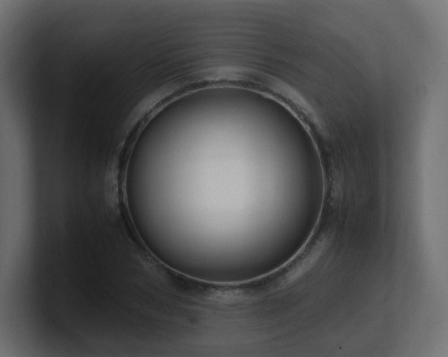 X0000101100978200806261508