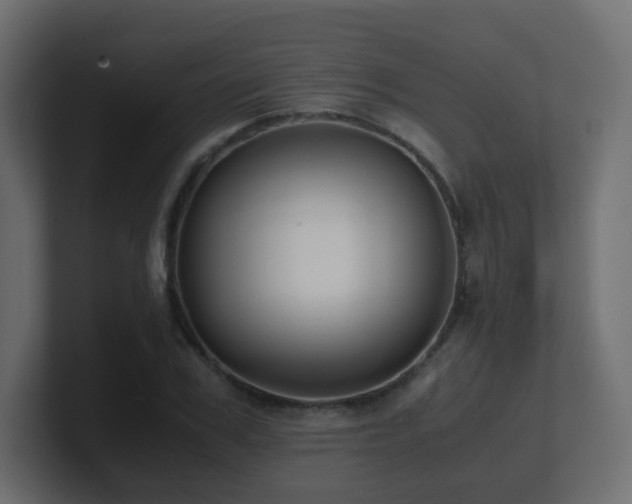 X0000101100979200806261508